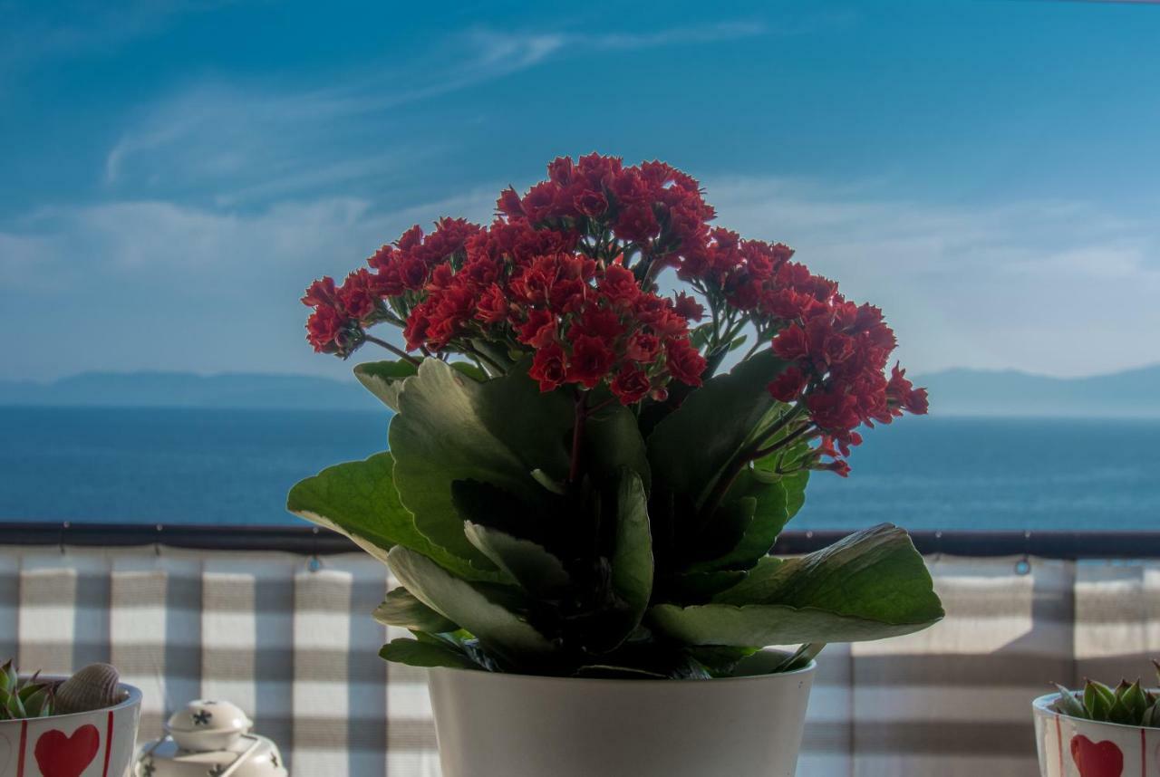 Apartment Paradise View ริเยกา ภายนอก รูปภาพ